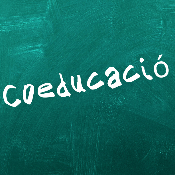 Pissarra escrita amb la paraula coeducació