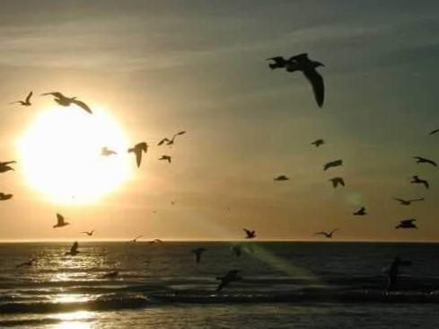 Imatge d'una posta de sol al mar 