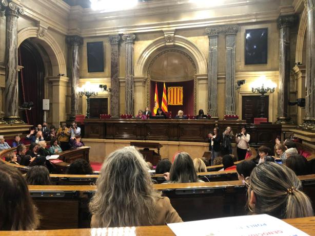 Proposem mesures contra les violències masclistes al Parlament