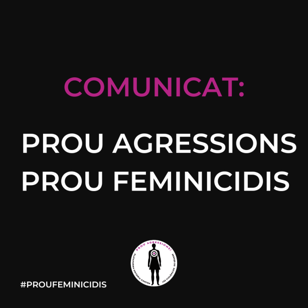 caratula comunicat 15 juliol 