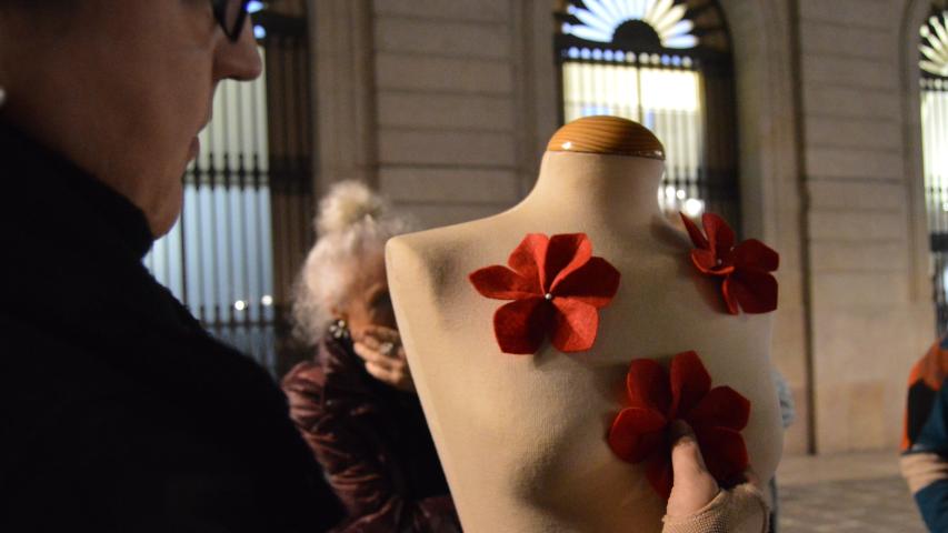 Imatge de la concentració 4