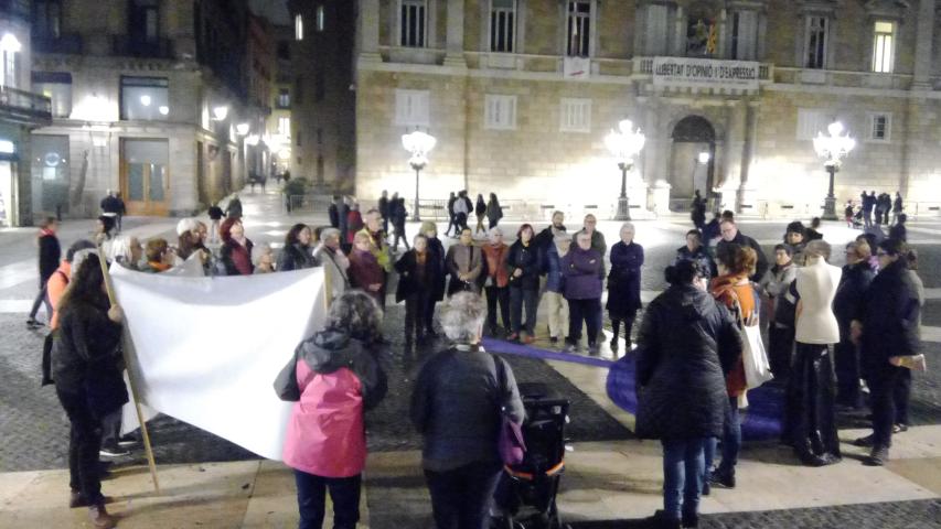 Imatge de la concentració 6