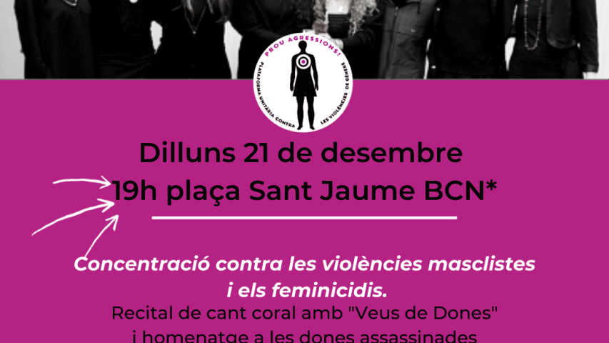 Cartell de la concentració