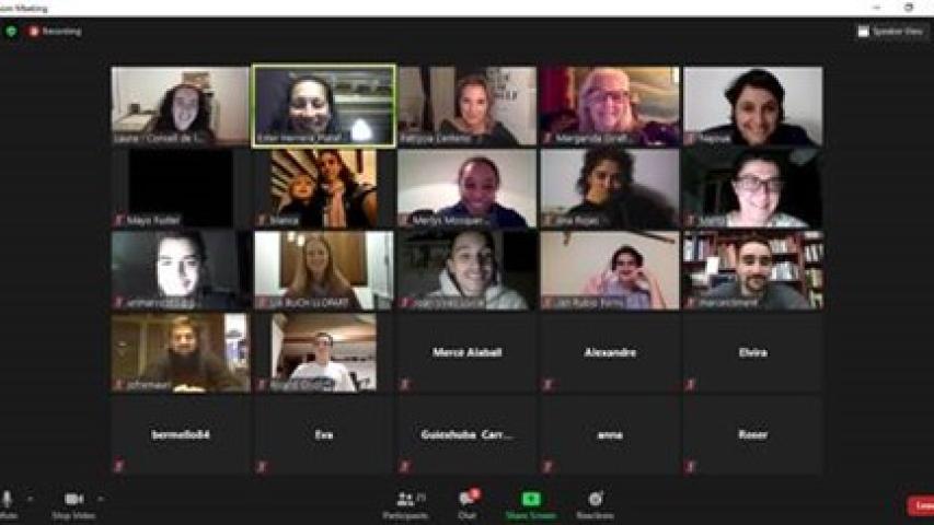 Captura d'un dels grups d'aprofundiment a través de Zoom