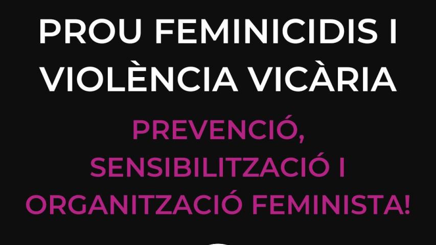 Prou feminicidis i violència vicària!