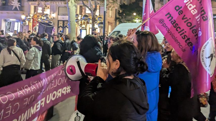 imatge manifestació