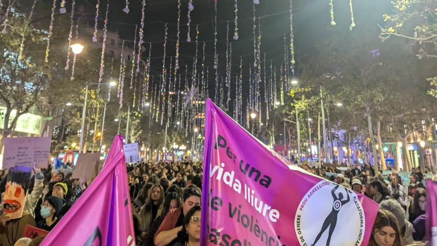 imatge manifestació