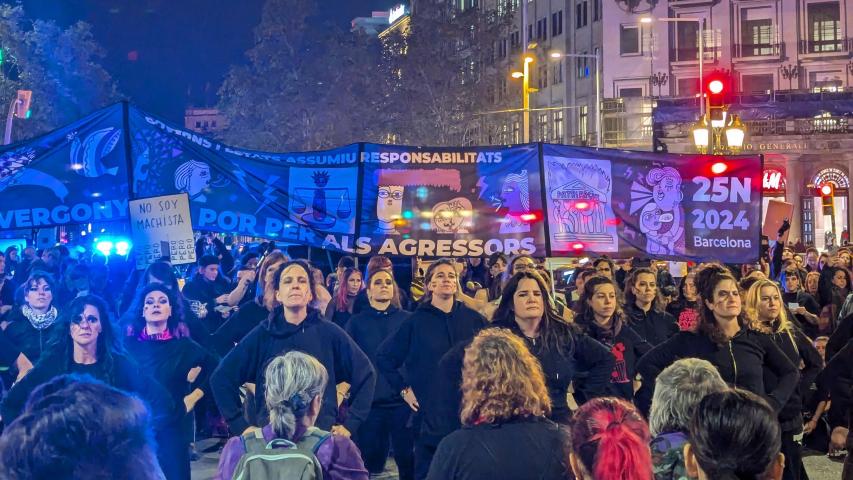 imatge manifestació
